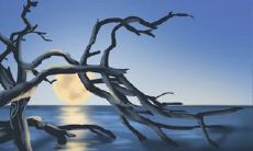 女人最想跟哪个星座男明星睡？