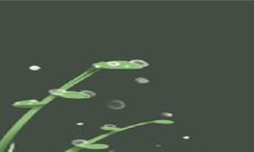 如何让十二星座特有成就感