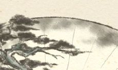 解析：鼻子小的男人面相