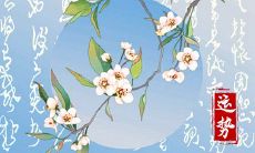 2024年最旺的生肖排名 你上榜了吗