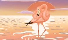 誓死做个优雅的人!属猪如何骂人不说脏话