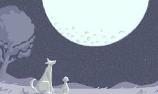 女性楷模，魅力伴随一生的星座女