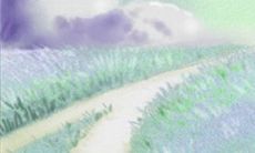 天秤座还不清谁的情债?