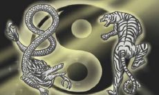 星座血型生肖分析(射手、属鼠、O型)