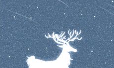 属牛如何对待熊孩子