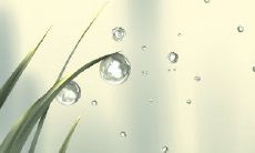 血型漫画：组成部队的各血型君们