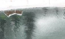 揪出他，职场上最爱挑拨离间的星座！