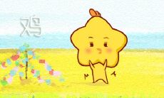 绝不苟且，会用心经营生活的生肖