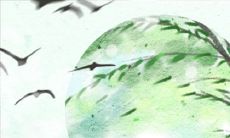 喜欢才是最重要，这些生肖女买东西从来不看价钱