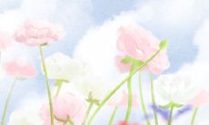 属猪女能否成为最后的女王