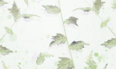 精通一点学问就会吹嘘一辈子的生肖