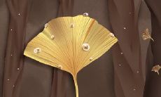 胆大心细脸皮厚的几大生肖男