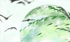 对于恐怖片情有独钟的生肖