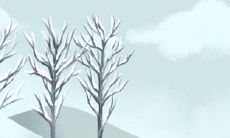 总是徘徊在坚持和放弃之间的几大生肖