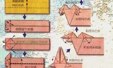 十二星座折纸：教你折出12星座形状