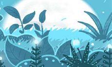 土象星座的谁最有创造美的能力