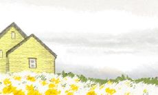 十二星座小寒养生专属果蔬