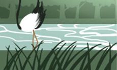 水象星座内部的最佳配对