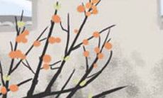 鼻子的宽窄个性有什么不同吗？