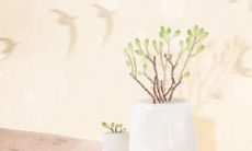 前任结婚，属狗会是什么感受