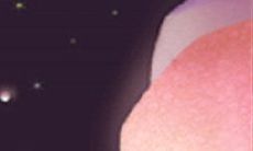 属蛇男女朋友都是如何取悦对方的