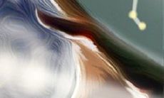 苏民峰2016属猴爱情运势