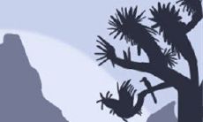 原来属鸡人都喜欢这种姿势