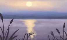 摩羯座男人高潮的表现是什么样子的