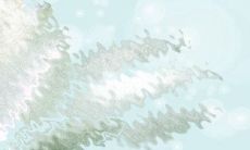 本性难移，毫无顾忌偷腥星座男