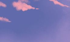 这些生肖一言不合就抓住别人抽