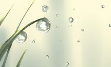 嘚啵嘚啵，这些生肖吵架从来就没输过