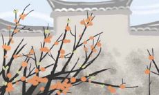 本命佛分男女吗,本命佛放在哪里比较好