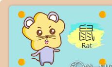 属鼠的爱情闪光点是什么