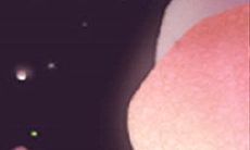 天生惹人怜爱，这些生肖最可爱