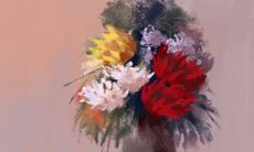 双鱼座宅男的必备神器?