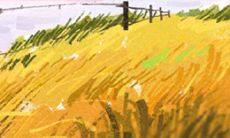 2017年各方面运势都很不错的生肖