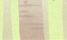 因小失大,这三大生肖最喜欢贪小便宜