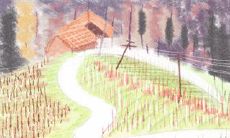 七窍玲珑心,心思最是细腻的星座!