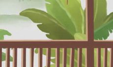 优柔寡断,这些生肖做不成大事