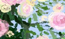 越成熟越有魅力,最懂得维持美貌的生肖女