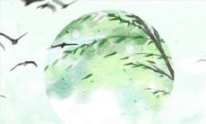 感情深一口闷，属鸡喝酒口号是什么