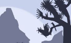 表面清纯小清新,实则演技超一流的生肖女