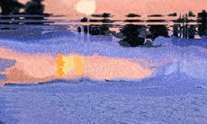 四肢发达，头脑不简单的三大星座