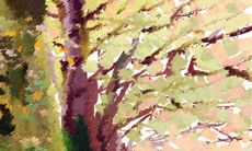 12星座代表手机推荐