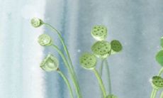 十二星座2016年的爱情幸运地在哪？