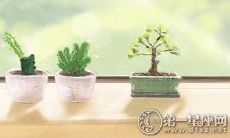 细数狮子鼻面相的女明星