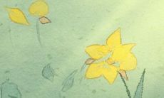 取名大全：姓赵的男孩名字