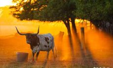 97年属牛住4楼好不好 楼层不好怎么办