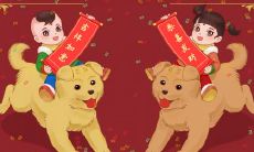 十二生肖最痴情的动物,就该找这样的对象