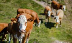 97年属牛住18楼好不好 住18楼的风水好处